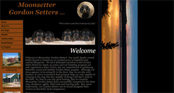 Desktop Screenshot of moonsetter.com