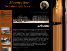 Tablet Screenshot of moonsetter.com